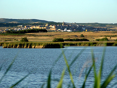 Laguna de Las Cañas